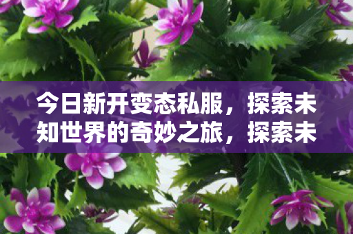 今日新开变态私服,探索未知世界的奇妙之旅,探索未知世界的奇妙之旅,新开变态私服等你来战 今日新开变态私服,探索未知世界的奇妙之旅,探索未知世界的奇妙之旅,新开变态私服等你来战