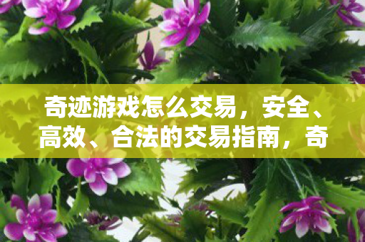 奇迹游戏怎么交易,安全、高效、合法的交易指南,奇迹游戏安全、高效、合法交易指南 奇迹游戏怎么交易,安全、高效、合法的交易指南,奇迹游戏安全、高效、合法交易指南