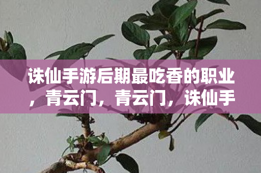 诛仙手游后期最吃香的职业,青云门,青云门,诛仙手游后期最吃香的职业 诛仙手游后期最吃香的职业,青云门,青云门,诛仙手游后期最吃香的职业