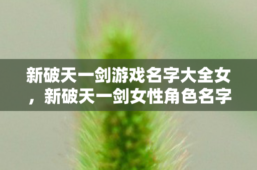 新破天一剑游戏名字大全女,新破天一剑女性角色名字大全 新破天一剑游戏名字大全女,新破天一剑女性角色名字大全