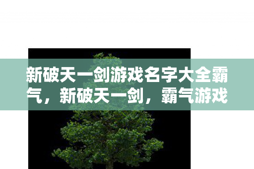 新破天一剑游戏名字大全霸气图片