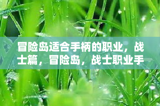 冒险岛适合手柄的职业,战士篇,冒险岛,战士职业手柄操作全解析 冒险岛适合手柄的职业,战士篇,冒险岛,战士职业手柄操作全解析