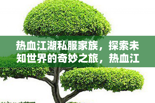 热血江湖私服家族，探索未知世界的奇妙之旅，热血江湖私服家族，探索未知世界的奇妙之旅