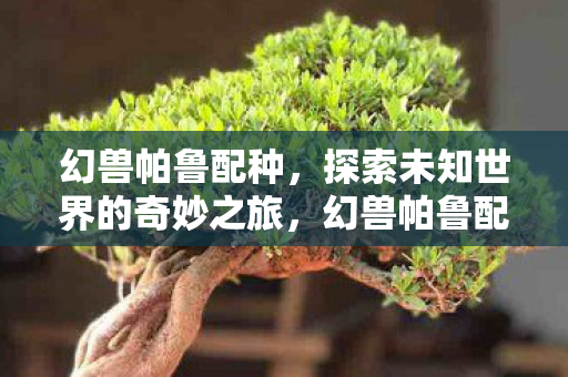 幻兽帕鲁配种,探索未知世界的奇妙之旅,幻兽帕鲁配种,探索未知世界的奇妙之旅 幻兽帕鲁配种,探索未知世界的奇妙之旅,幻兽帕鲁配种,探索未知世界的奇妙之旅