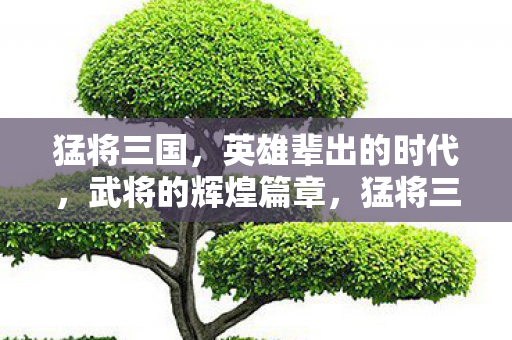 猛将三国,英雄辈出的时代,武将的辉煌篇章,猛将三国,英雄辈出的武将辉煌篇章 猛将三国,英雄辈出的时代,武将的辉煌篇章,猛将三国,英雄辈出的武将辉煌篇章