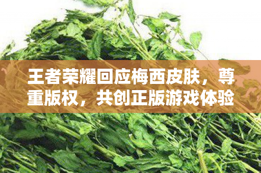 王者荣耀回应梅西皮肤,尊重版权,共创正版游戏体验,王者荣耀回应梅西皮肤,尊重版权,共创正版游戏体验 王者荣耀回应梅西皮肤,尊重版权,共创正版游戏体验,王者荣耀回应梅西皮肤,尊重版权,共创正版游戏体验