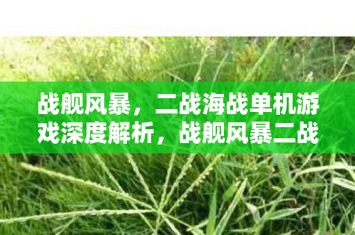 战舰风暴,二战海战单机游戏深度解析,战舰风暴二战海战单机游戏,深度解析 战舰风暴,二战海战单机游戏深度解析,战舰风暴二战海战单机游戏,深度解析