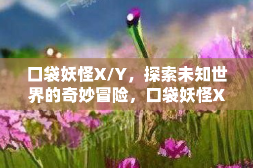 口袋妖怪X/Y,探索未知世界的奇妙冒险,口袋妖怪X/Y,探索未知世界的奇妙冒险之旅 口袋妖怪X/Y,探索未知世界的奇妙冒险,口袋妖怪X/Y,探索未知世界的奇妙冒险之旅