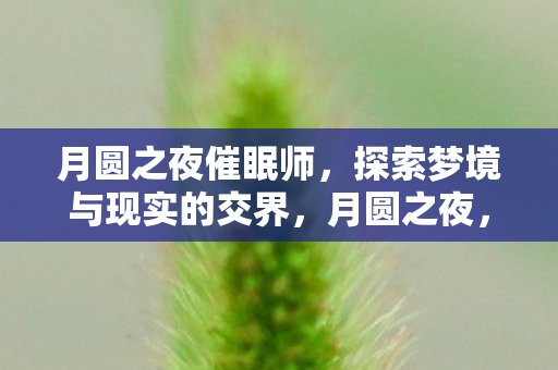 月圆之夜催眠师,探索梦境与现实的交界,月圆之夜,催眠师带你探索梦境与现实的交界 月圆之夜催眠师,探索梦境与现实的交界,月圆之夜,催眠师带你探索梦境与现实的交界