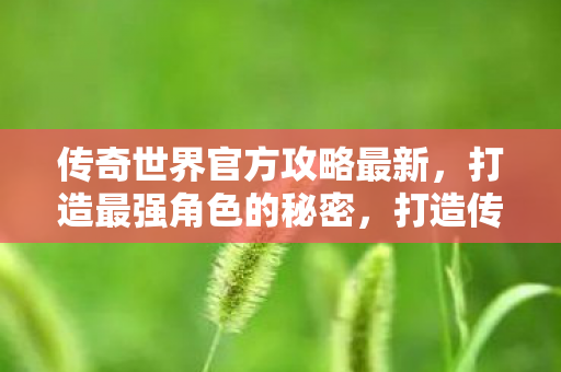 传奇世界官方攻略最新，打造最强角色的秘密，打造传奇世界最强角色的秘密攻略