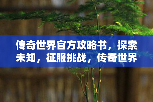 传奇世界官方攻略书，探索未知，征服挑战，传奇世界官方攻略书，探索未知，征服挑战