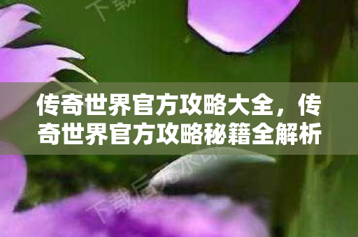 传奇世界官方攻略大全,传奇世界官方攻略秘籍全解析 传奇世界官方攻略大全,传奇世界官方攻略秘籍全解析