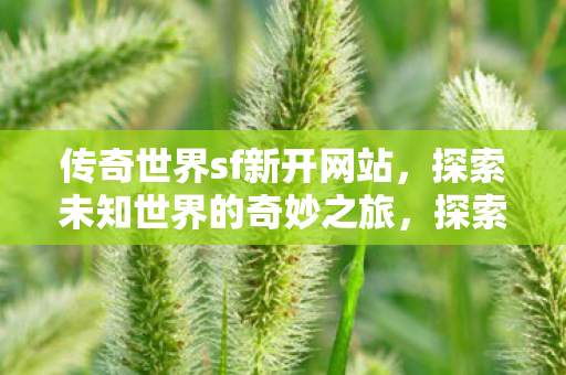 传奇世界sf新开网站,探索未知世界的奇妙之旅,探索传奇世界sf新开网站,开启未知世界的奇妙之旅 传奇世界sf新开网站,探索未知世界的奇妙之旅,探索传奇世界sf新开网站,开启未知世界的奇妙之旅