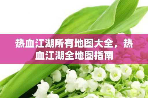 热血江湖所有地图大全，热血江湖全地图指南