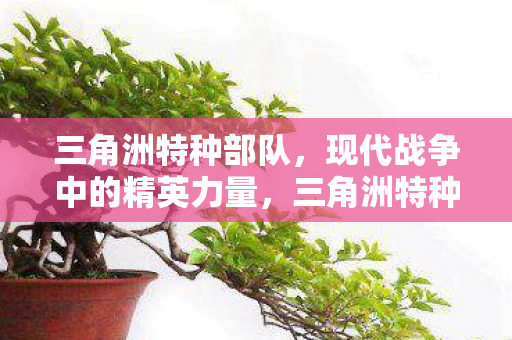 三角洲特种部队，现代战争中的精英力量，三角洲特种部队，现代战争中的精英力量