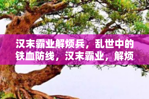 汉末霸业解烦兵,乱世中的铁血防线,汉末霸业,解烦兵——乱世中的铁血防线 汉末霸业解烦兵,乱世中的铁血防线,汉末霸业,解烦兵——乱世中的铁血防线