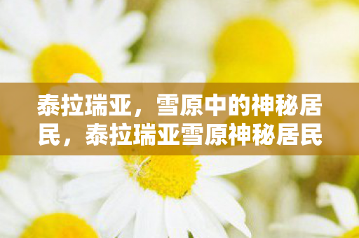 泰拉瑞亚,雪原中的神秘居民,泰拉瑞亚雪原神秘居民揭秘 泰拉瑞亚,雪原中的神秘居民,泰拉瑞亚雪原神秘居民揭秘
