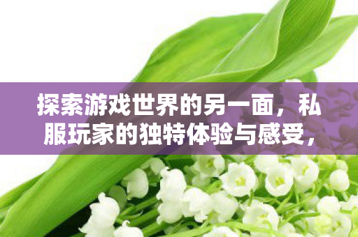 私服玩家的独特体验与感受图片