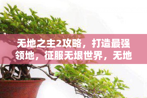 无地之主2攻略,打造最强领地,征服无垠世界,无地之主2攻略,打造最强领地,征服无垠世界 无地之主2攻略,打造最强领地,征服无垠世界,无地之主2攻略,打造最强领地,征服无垠世界
