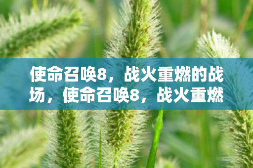 使命召唤8,战火重燃的战场,使命召唤8,战火重燃的战场 使命召唤8,战火重燃的战场,使命召唤8,战火重燃的战场