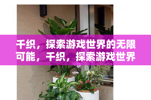 千织,探索游戏世界的无限可能,千织,探索游戏世界的无限可能 千织,探索游戏世界的无限可能,千织,探索游戏世界的无限可能