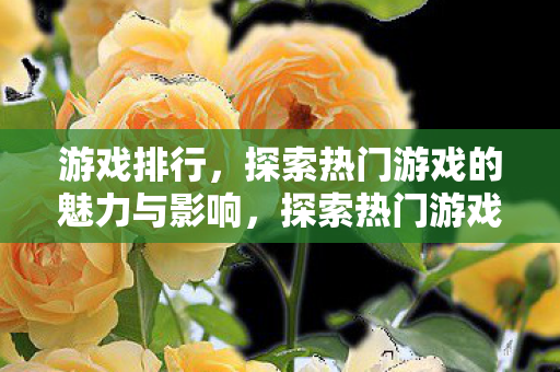 游戏排行,探索热门游戏的魅力与影响,探索热门游戏的魅力与影响,游戏排行 游戏排行,探索热门游戏的魅力与影响,探索热门游戏的魅力与影响,游戏排行