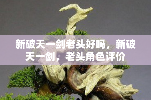 新破天一剑老头好吗，新破天一剑，老头角色评价