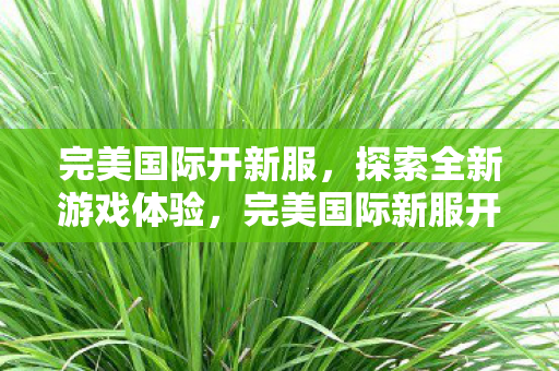 完美国际开新服,探索全新游戏体验,完美国际新服开启,探索无限游戏乐趣 完美国际开新服,探索全新游戏体验,完美国际新服开启,探索无限游戏乐趣