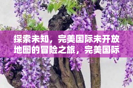 探索未知,完美国际未开放地图的冒险之旅,完美国际未开放地图的冒险之旅,探索未知的神秘之旅 探索未知,完美国际未开放地图的冒险之旅,完美国际未开放地图的冒险之旅,探索未知的神秘之旅