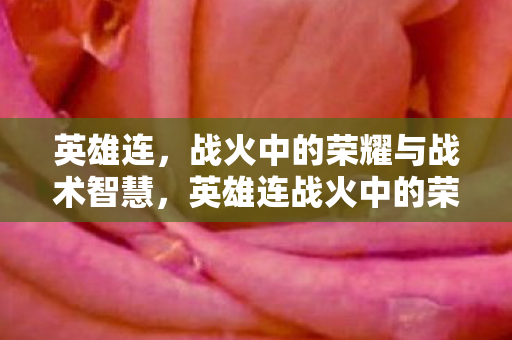 英雄连,战火中的荣耀与战术智慧,英雄连战火中的荣耀与战术智慧 英雄连,战火中的荣耀与战术智慧,英雄连战火中的荣耀与战术智慧