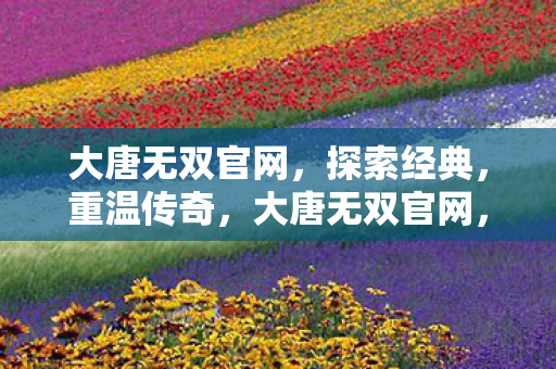 大唐无双官网,探索经典,重温传奇,大唐无双官网,重温经典传奇 大唐无双官网,探索经典,重温传奇,大唐无双官网,重温经典传奇