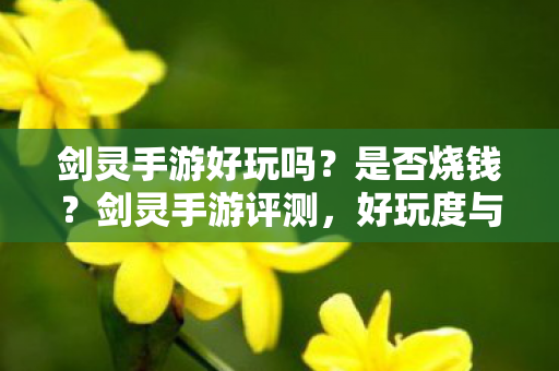 剑灵手游好玩吗？是否烧钱？剑灵手游评测，好玩度与烧钱程度揭秘