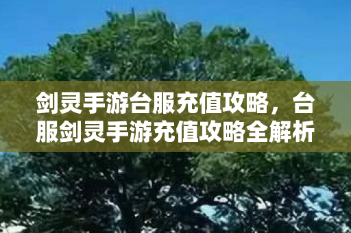 剑灵手游台服充值攻略,台服剑灵手游充值攻略全解析 剑灵手游台服充值攻略,台服剑灵手游充值攻略全解析