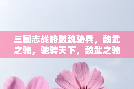 三国志战略版魏骑兵，魏武之骑，驰骋天下，魏武之骑，三国志战略版魏骑兵驰骋天下