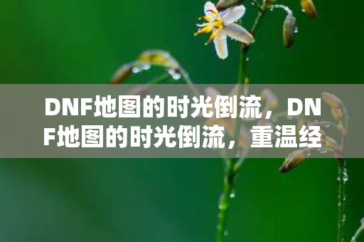 DNF地图的时光倒流,DNF地图的时光倒流,重温经典,找回那些被遗忘的冒险 DNF地图的时光倒流,DNF地图的时光倒流,重温经典,找回那些被遗忘的冒险