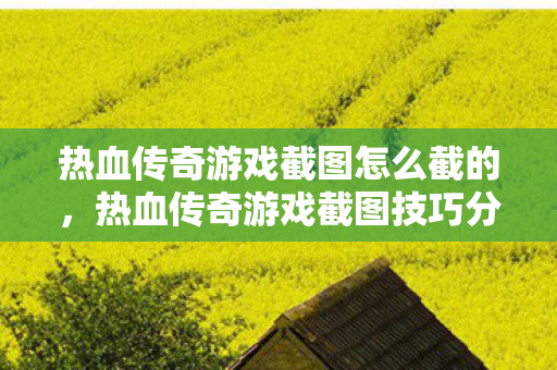 热血传奇游戏截图怎么截的图片