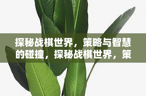 探秘战棋世界，策略与智慧的碰撞，探秘战棋世界，策略与智慧的激烈碰撞