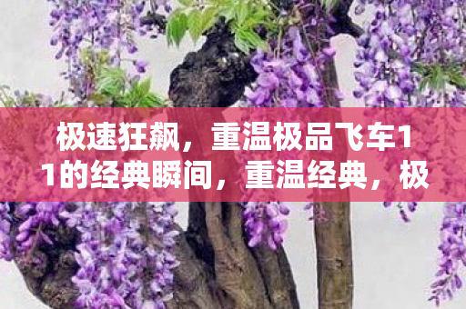 极速狂飙，重温极品飞车11的经典瞬间，重温经典，极品飞车11极速狂飙瞬间