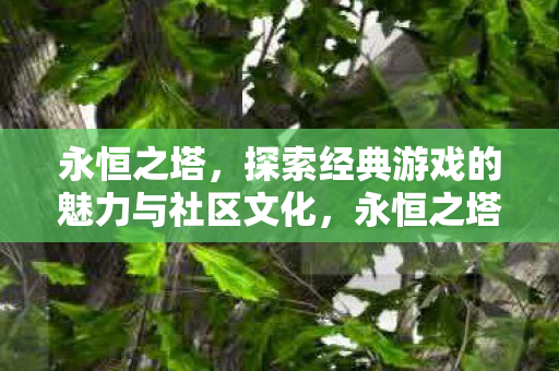 永恒之塔,探索经典游戏的魅力与社区文化,永恒之塔,探索经典游戏的魅力与社区文化 永恒之塔,探索经典游戏的魅力与社区文化,永恒之塔,探索经典游戏的魅力与社区文化