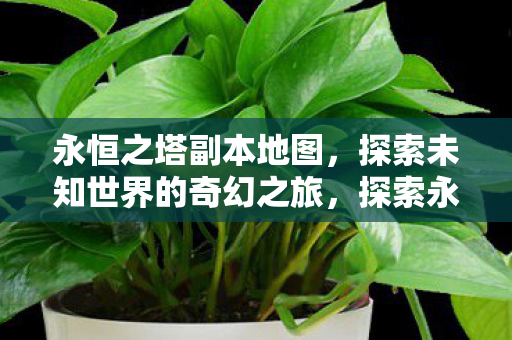 永恒之塔副本地图,探索未知世界的奇幻之旅,探索永恒之塔副本地图,奇幻之旅开启 永恒之塔副本地图,探索未知世界的奇幻之旅,探索永恒之塔副本地图,奇幻之旅开启