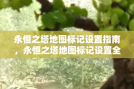 永恒之塔地图标记设置指南,永恒之塔地图标记设置全攻略 永恒之塔地图标记设置指南,永恒之塔地图标记设置全攻略