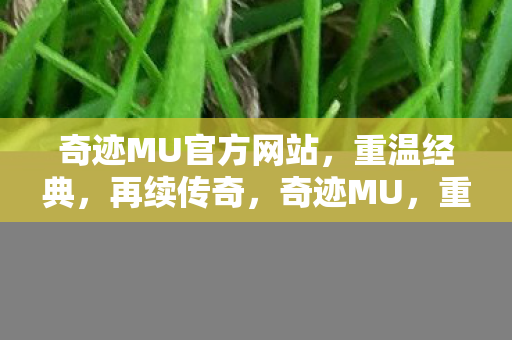 奇迹MU官方网站,重温经典,再续传奇,奇迹MU,重温经典,再续传奇之旅 奇迹MU官方网站,重温经典,再续传奇,奇迹MU,重温经典,再续传奇之旅