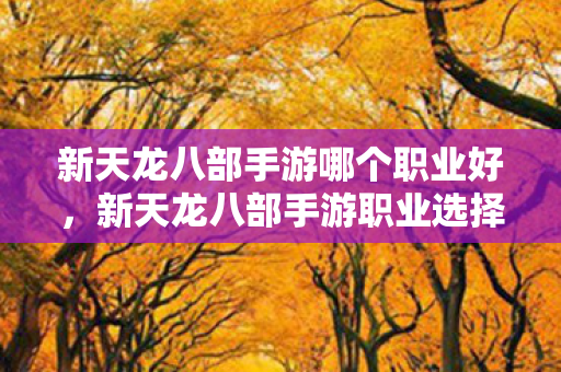 新天龙八部手游哪个职业好,新天龙八部手游职业选择指南,哪个职业最适合你? 新天龙八部手游哪个职业好,新天龙八部手游职业选择指南,哪个职业最适合你?