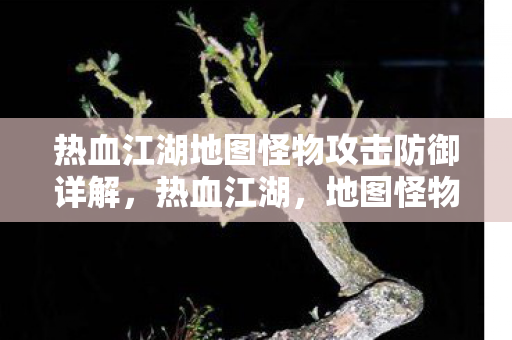 热血江湖地图怪物攻击防御详解,热血江湖,地图怪物攻击防御全解析 热血江湖地图怪物攻击防御详解,热血江湖,地图怪物攻击防御全解析