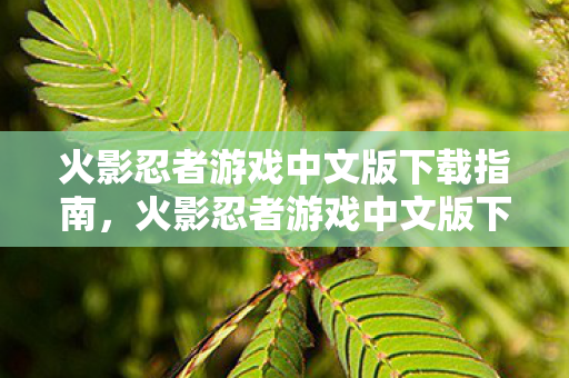 火影忍者游戏中文版下载指南，火影忍者游戏中文版下载全攻略
