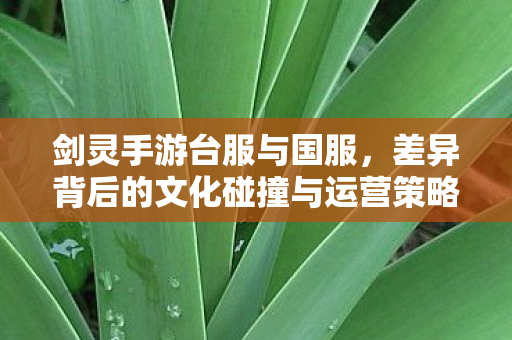 剑灵手游台服与国服,差异背后的文化碰撞与运营策略,剑灵手游台服与国服,文化碰撞与运营策略的差异 剑灵手游台服与国服,差异背后的文化碰撞与运营策略,剑灵手游台服与国服,文化碰撞与运营策略的差异