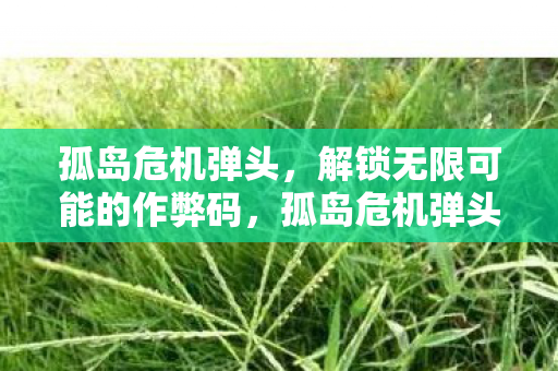 孤岛危机弹头，解锁无限可能的作弊码，孤岛危机弹头解锁无限可能的作弊码