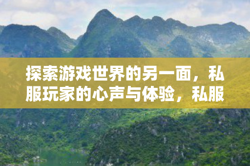 探索游戏世界的另一面图片