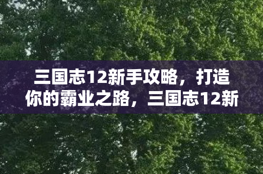 三国志12新手攻略,打造你的霸业之路,三国志12新手攻略,打造你的霸业之路 三国志12新手攻略,打造你的霸业之路,三国志12新手攻略,打造你的霸业之路