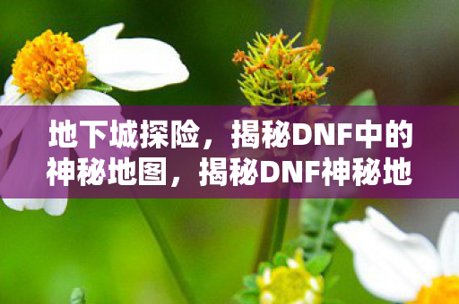 地下城探险，揭秘DNF中的神秘地图，揭秘DNF神秘地图，地下城探险之旅